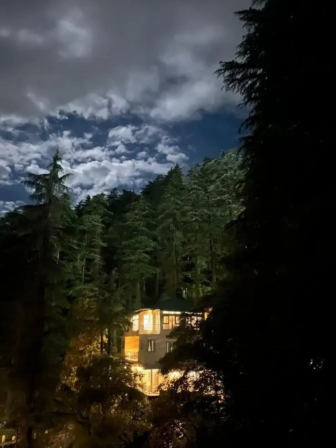 The hostel lit up among the trees after dark