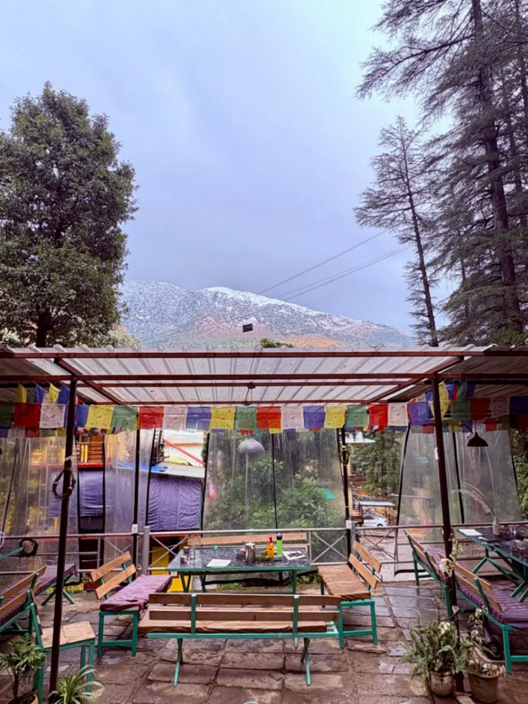 The glass-roofed terrace, prayer flags and snow on the Dhauladhar beyond